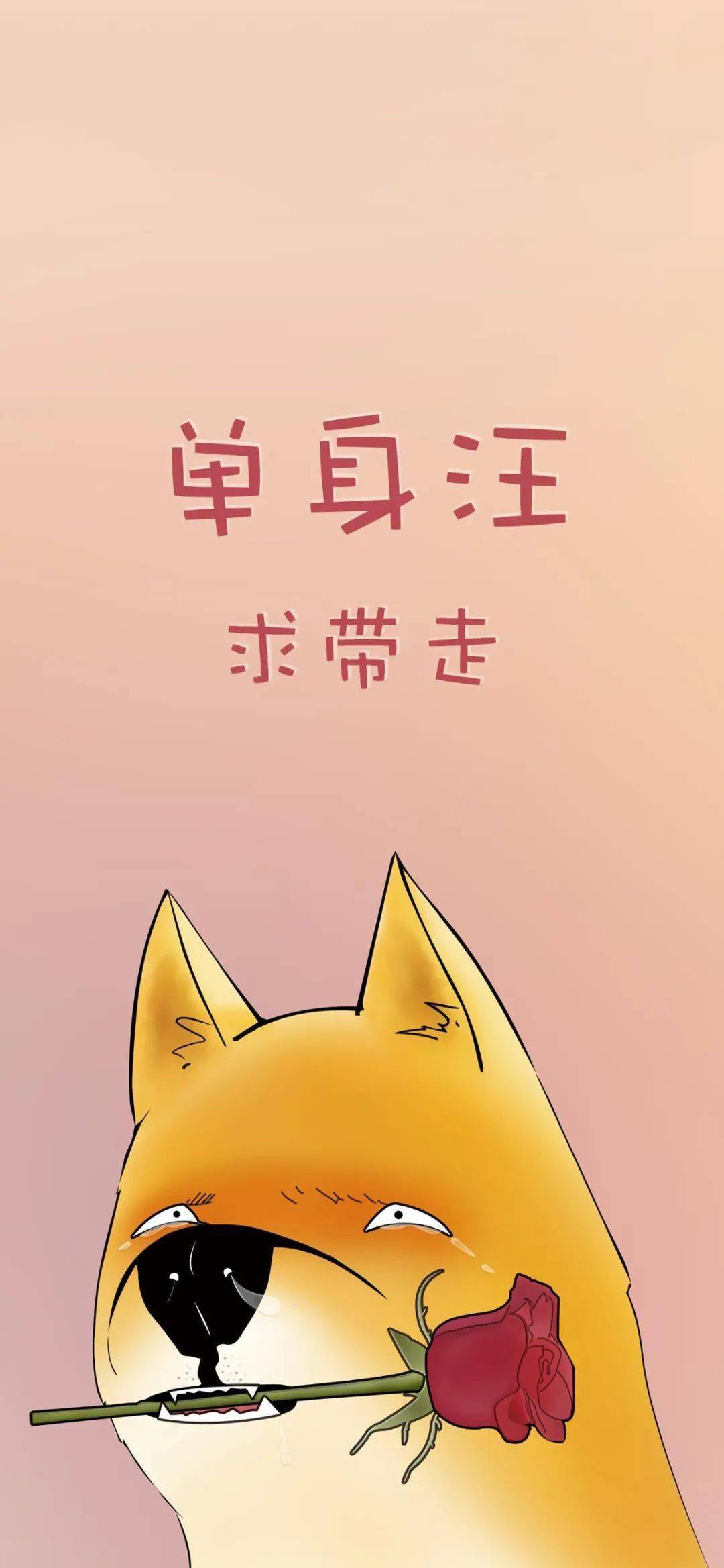 今日份壁纸