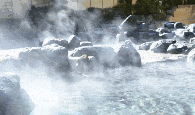 苏州的冬天,"泡"定你了!_温泉