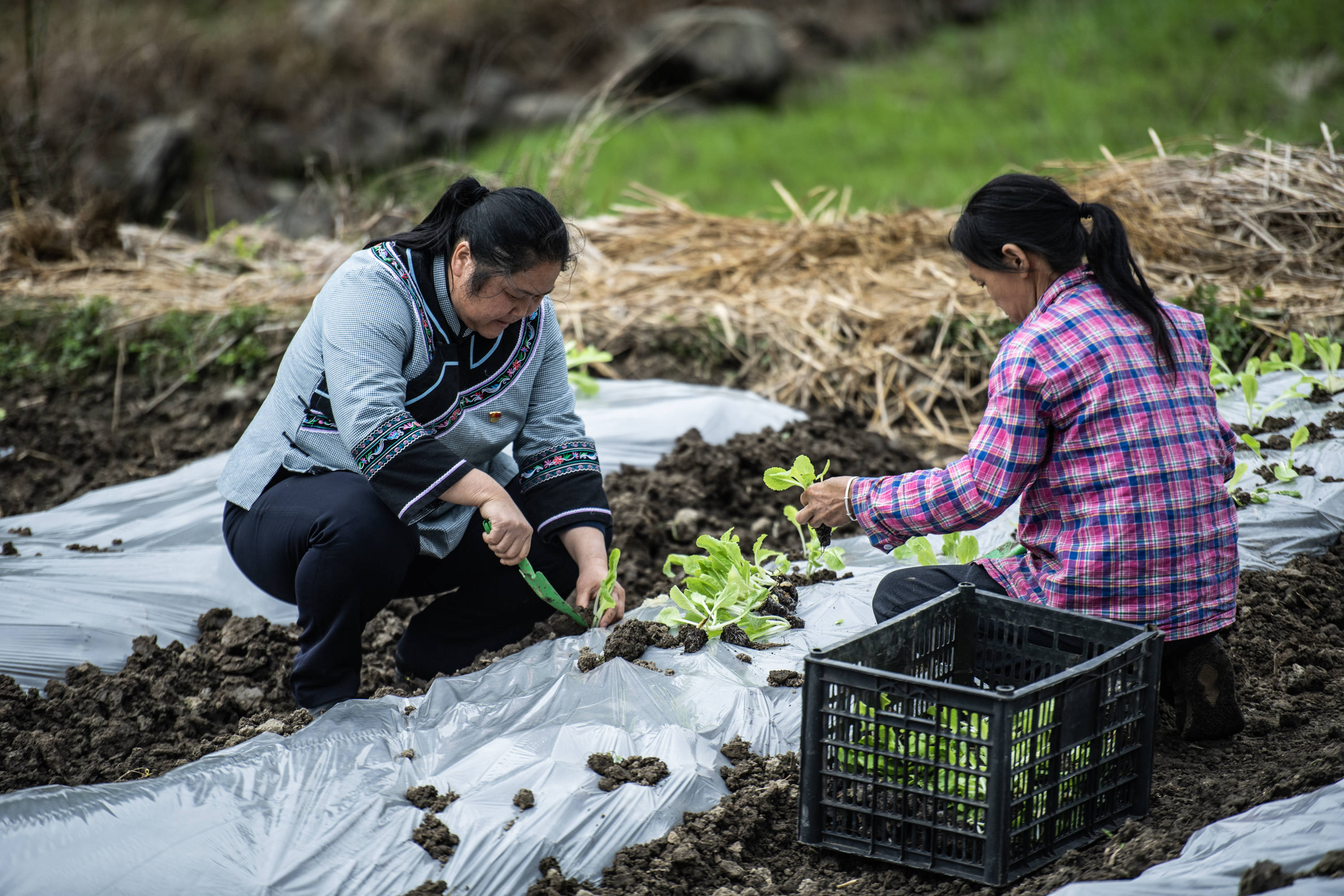 麻怀村的"幸福隧道"