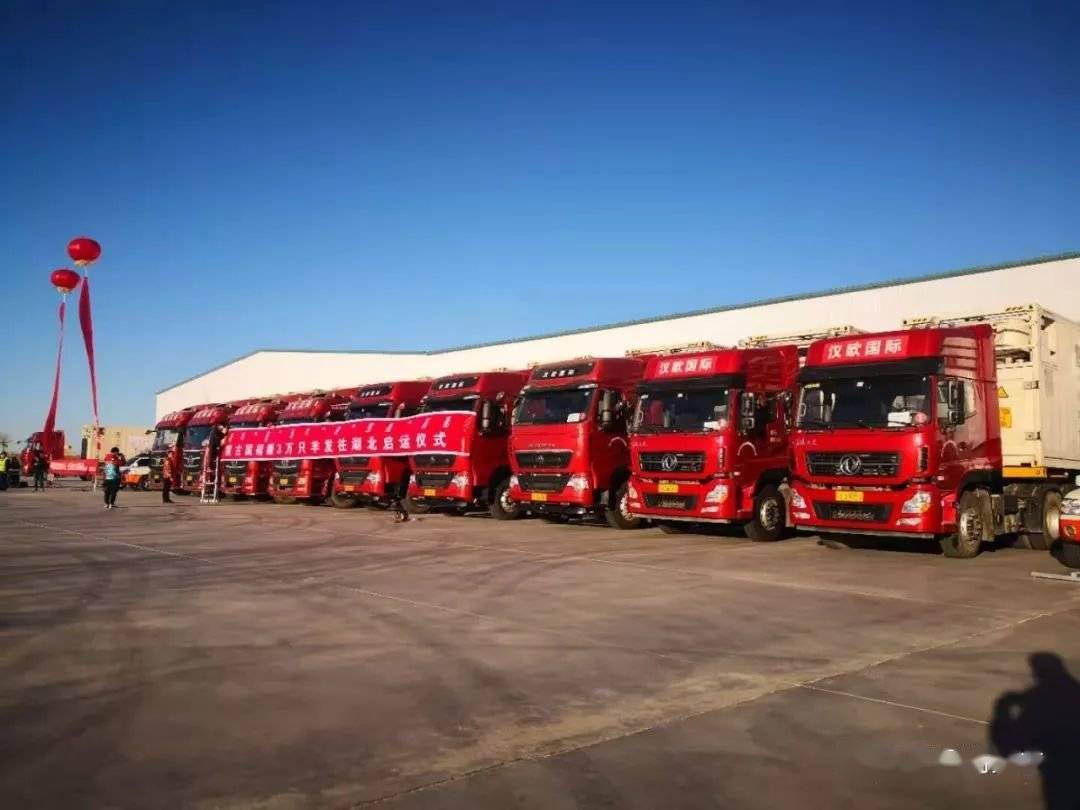 后10辆运羊车辆启程湖北预计2天后抵达下一步内蒙古将继续做好后续