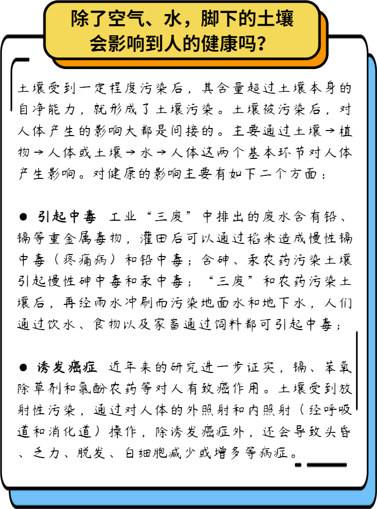 我们身边的环境如何影响我们的健康