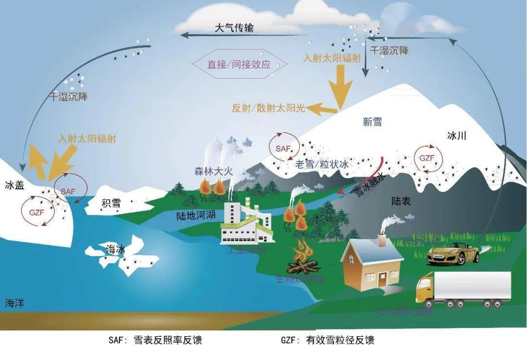 碳质气溶胶分析仪