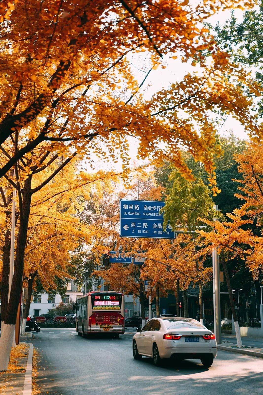 美翻了淄博这条藏在城市深处的小道你去过了吗