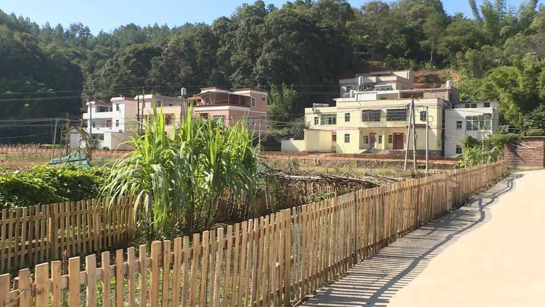 百日攻坚看变化丰稔镇四小园绘就美丽乡村新画卷