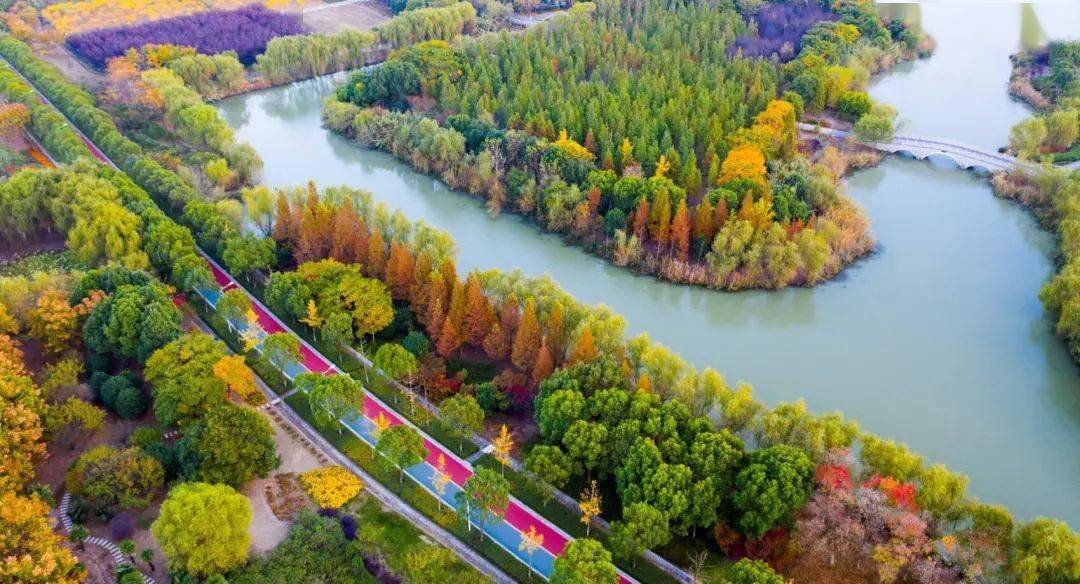 遇见深秋,遇见美!一波西溪植物园的秋色美图请查收