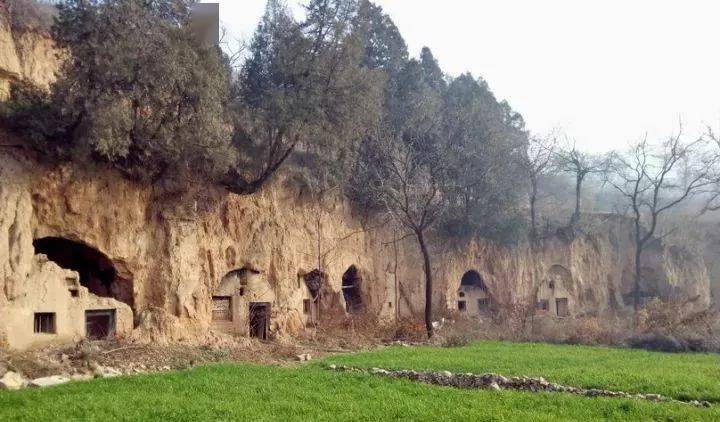 穆柯寨丨千亩芦苇荡11月21日丨观丹霞地貌赏千亩芦苇品山野火锅