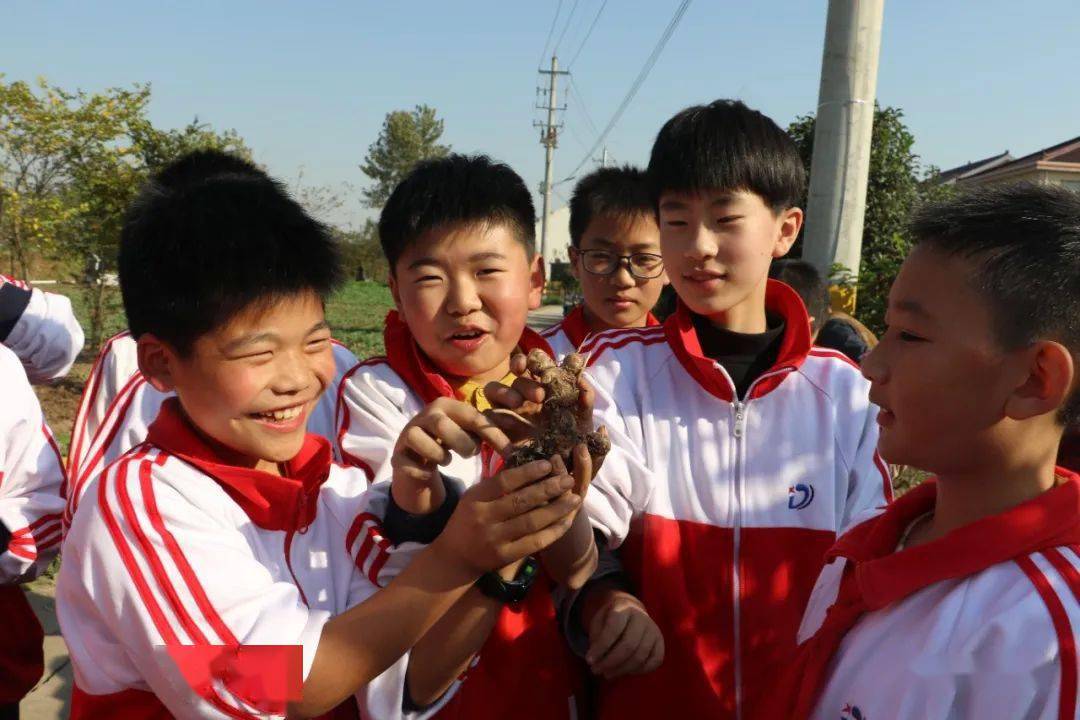 走出校园进田园艰辛快乐共体验