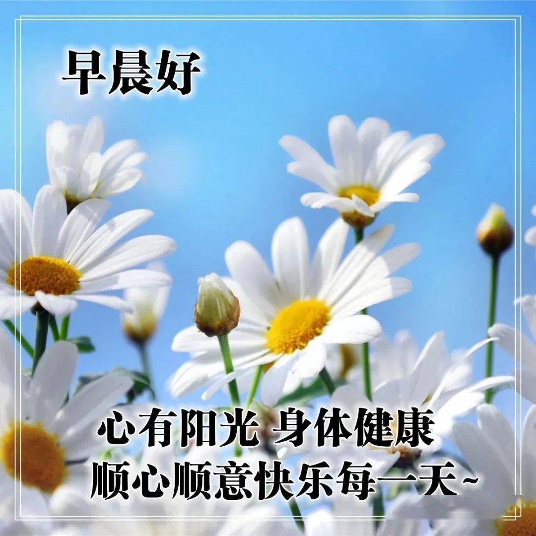 早上好問候語帶圖片早安祝福語溫暖表情圖片