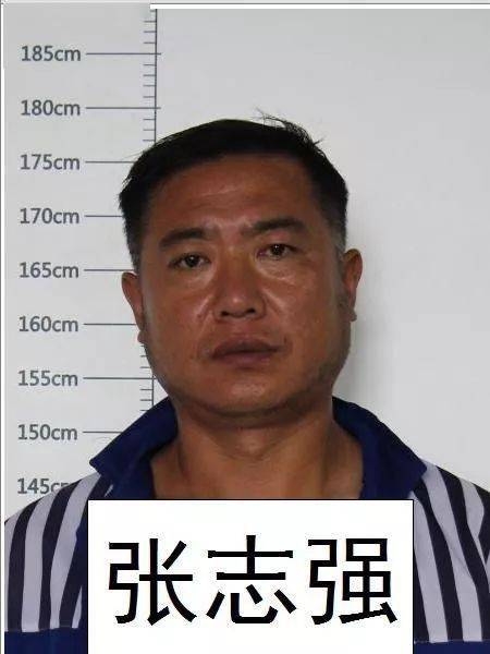 德州一12人犯罪团伙被端判刑结果出来了