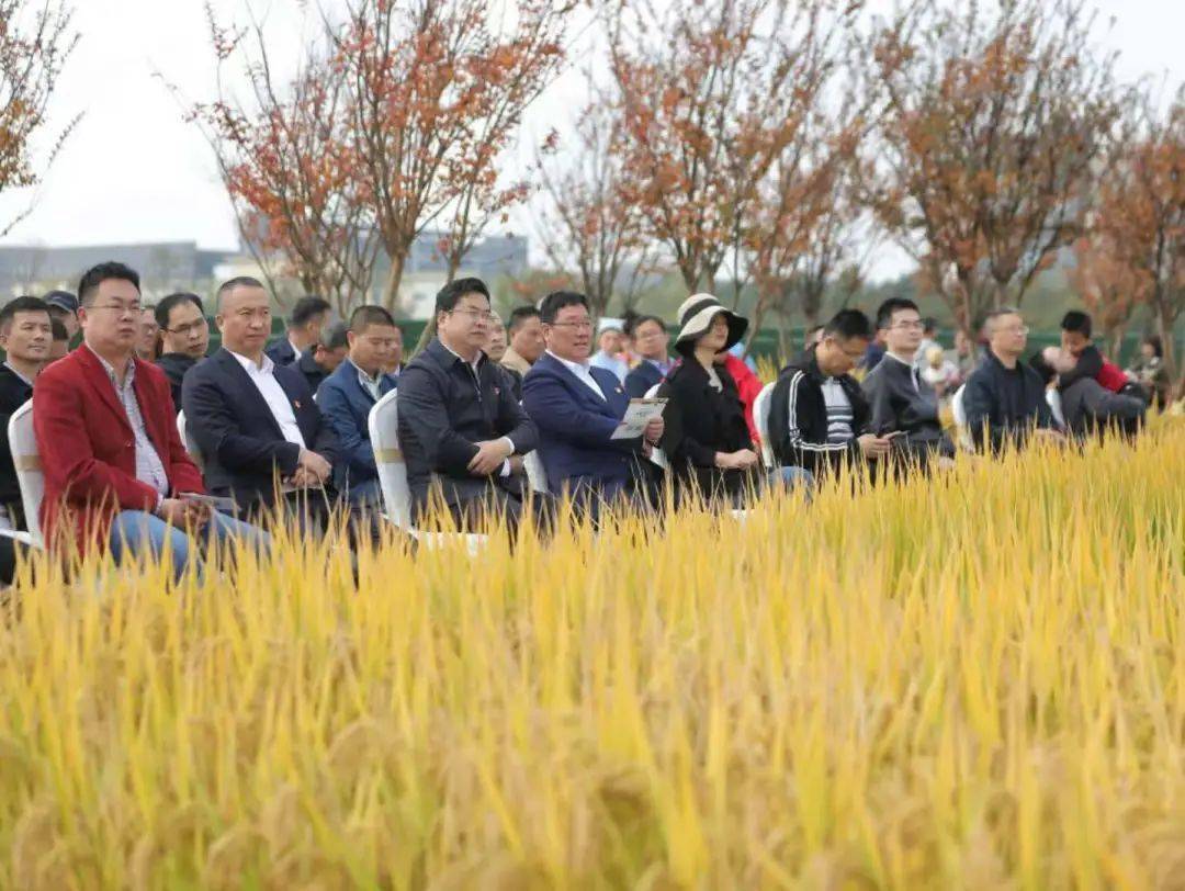 湘家荡周小明图片