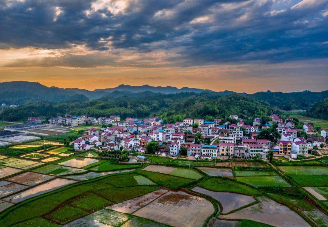 速看事关所有贵溪人