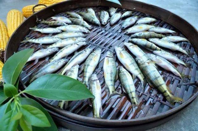 客家地区这种鱼都快绝种了现在很难见到有你还记得吗