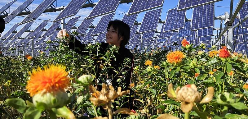 【远山的回响】草原"穷窝窝"脱贫记