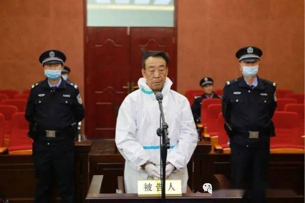 十二届人民代表大会农业与农村委员会原主任委员武文斌受贿案一审宣判