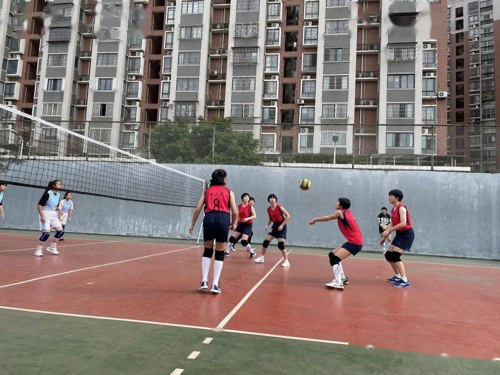 毓英学子再夺冠续写排球名校辉煌