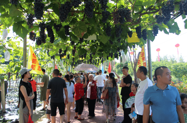 传承书院文化,构建城市ip.