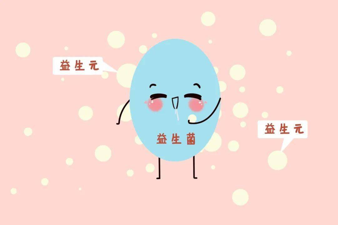 益生元益生菌一字之差你用对了吗