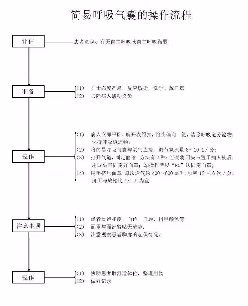 简易呼吸气囊口述流程图片