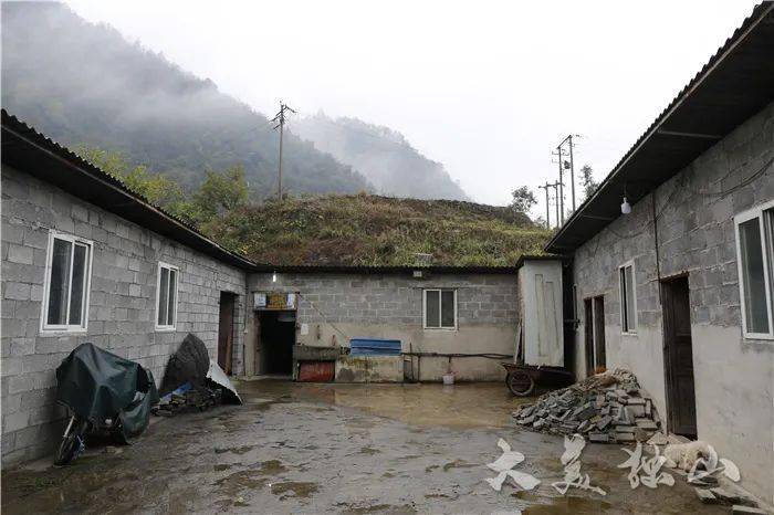我的脱贫故事幸福生活是奋斗出来的丨独山县百泉镇摆罗村村民罗泰刚