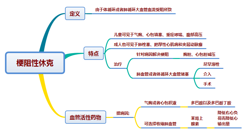 【思维导图】各种休克与血管活性药物的使用