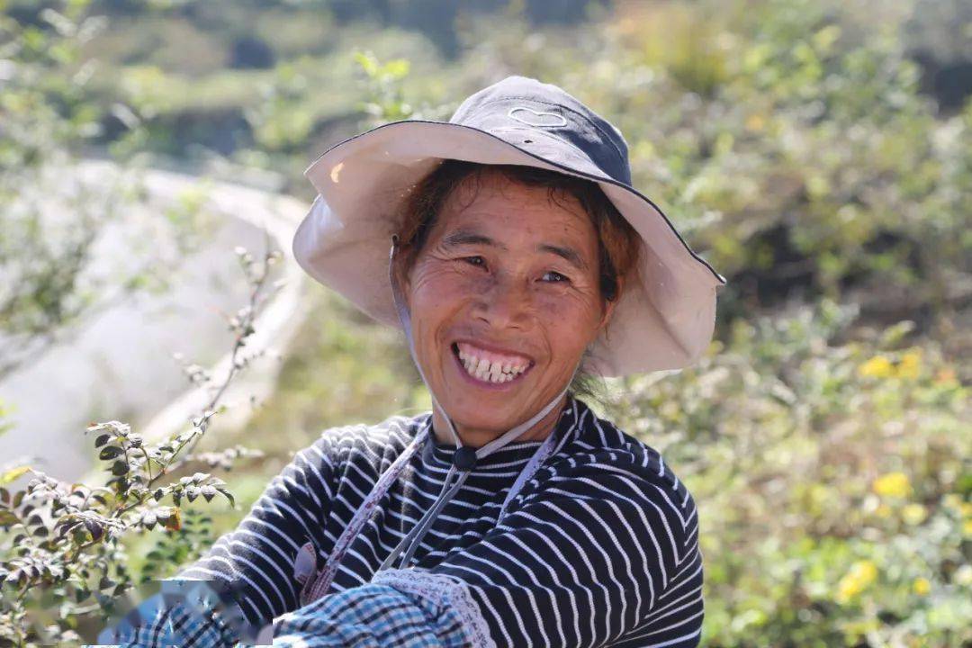 贾西村村民脸上挂满了笑容