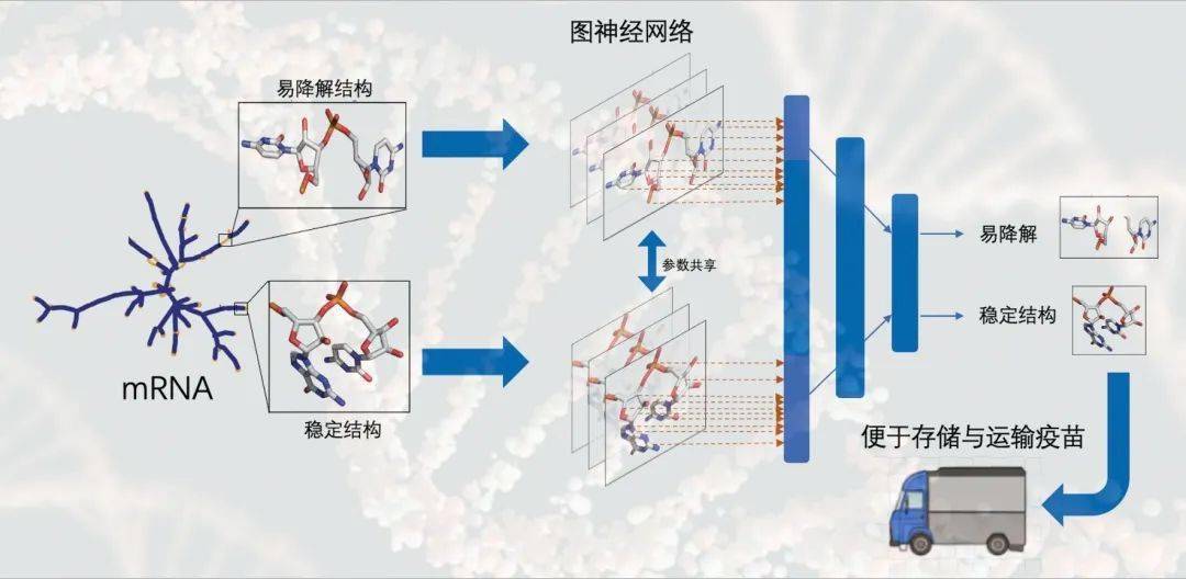 7天搞定图神经网络实战助力新冠疫情防控