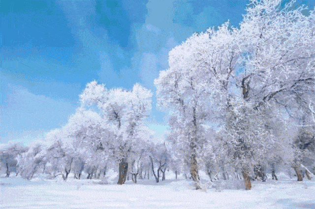 雪景,我只服新疆!