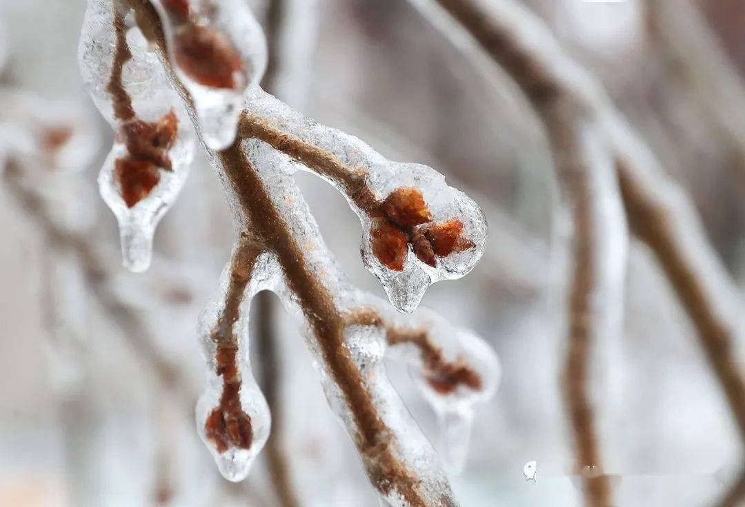 图说亚泰基地亚泰净月基地独有之美被冻住的冰刻足球