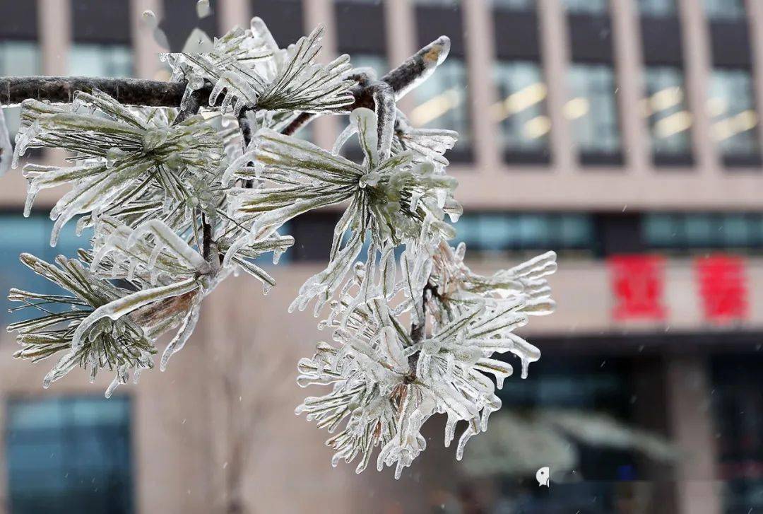 图说亚泰基地亚泰净月基地独有之美被冻住的冰刻足球