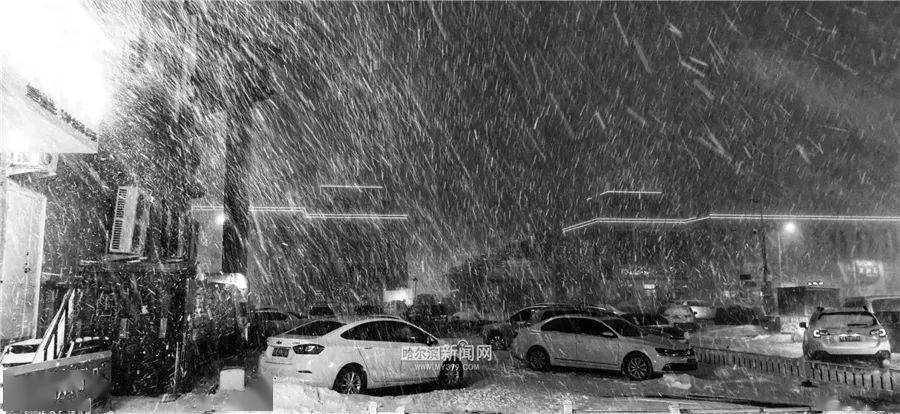 特大暴风雪总结报告20年未见此狂风暴雪哪里下的最多