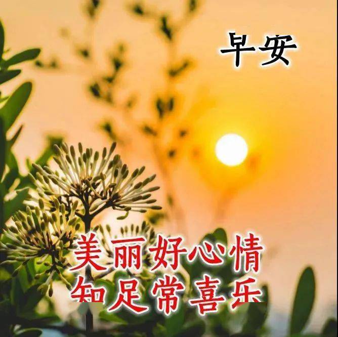 早上好問候語圖片早安祝福語陽光句子微信