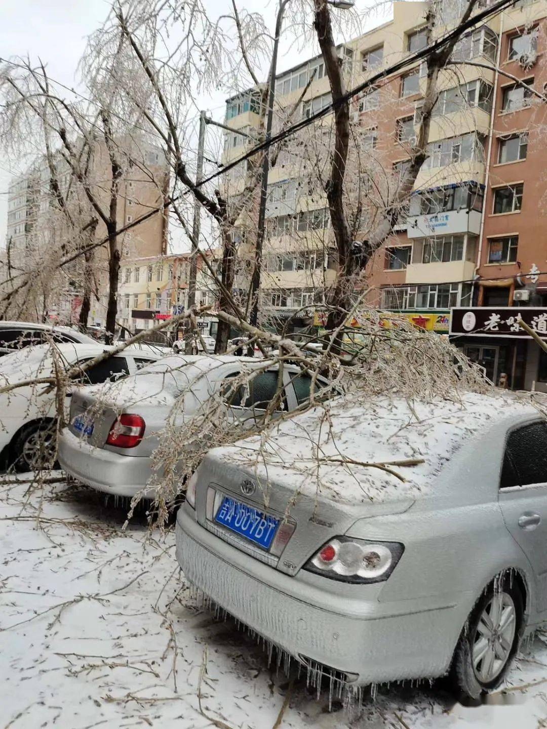 罕见冻雨长春冰封最新图频汇总供电供水供热轨道交通抢修最新进展