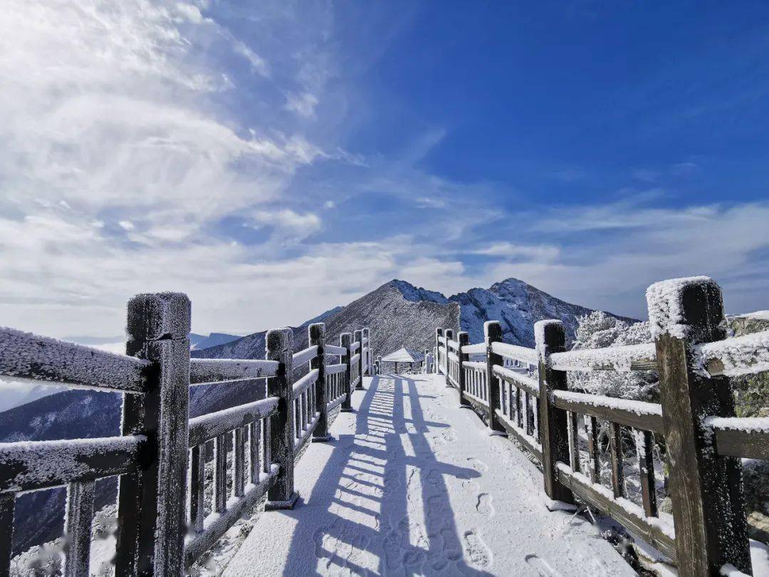 惊艳宝鸡今冬初雪与雾凇不期而遇这两个景区美翻了