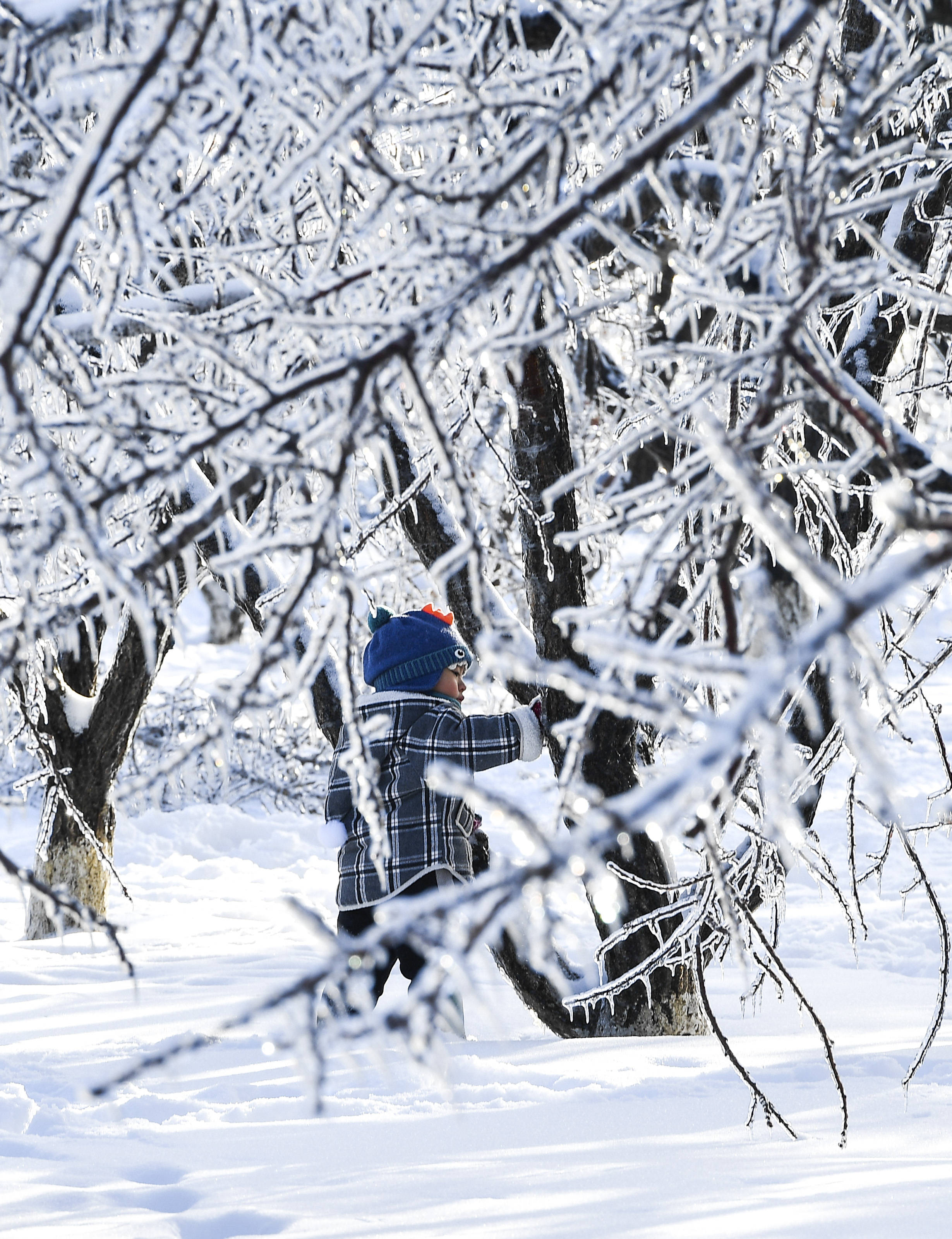 一轮强雨雪大风冰冻天气过后,20日,吉林省长春市雪后初晴,整个城市一