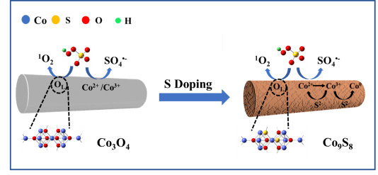 top研究008|華中科技大學陳朱琦:過硫酸鹽高級氧化技術的化學活化和機