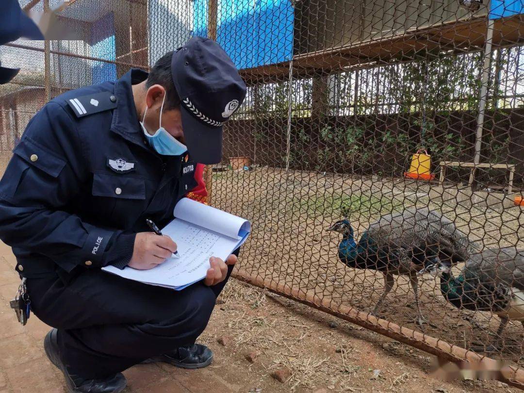 严惩牟定森警依法查处野生动物案35件