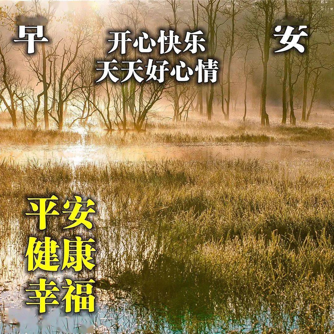 11月大家早上好問候語圖片這個冬天早安祝福語陽光句子朋友圈