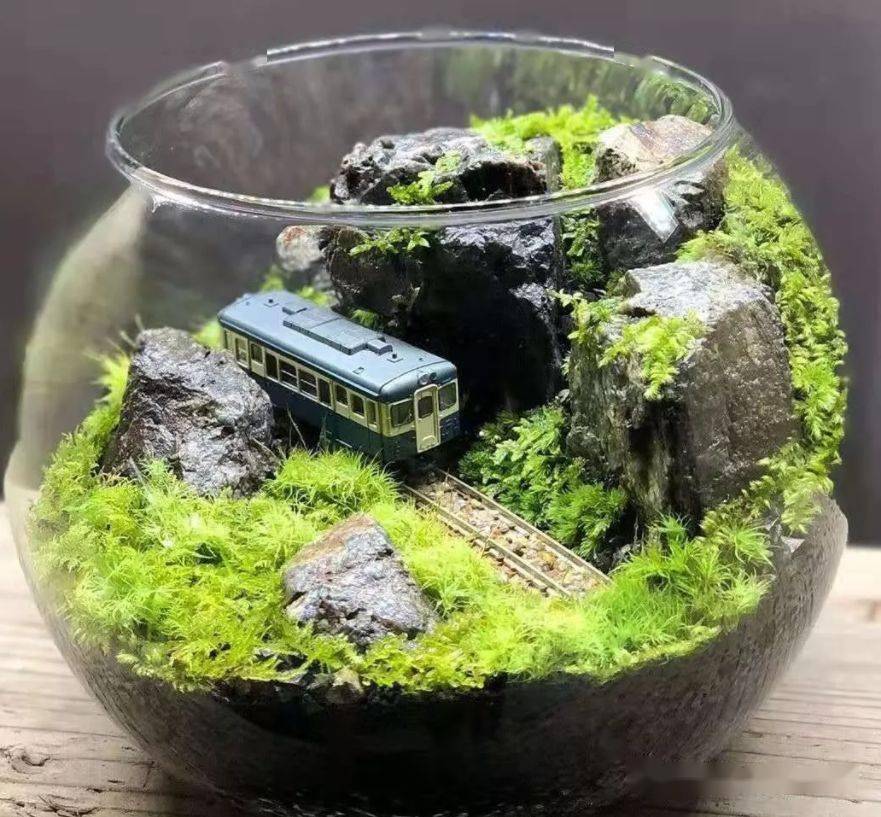 苔藓玻璃瓶微景观作品欣赏