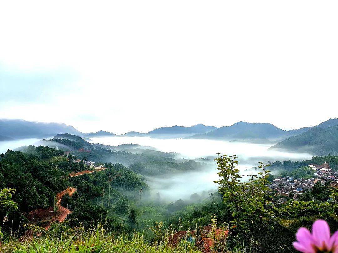 弥渡用行动诠释担当以实干笃定前行