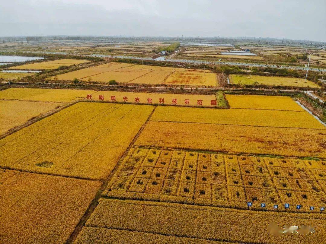 含沙量适宜气候条件良好,土壤呈弱碱性淮安地处江淮,黄淮冲积平原淮水