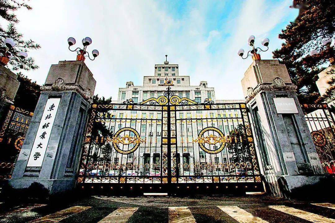 东北林业大学用三把标尺育一流人才人才与高校发展专刊