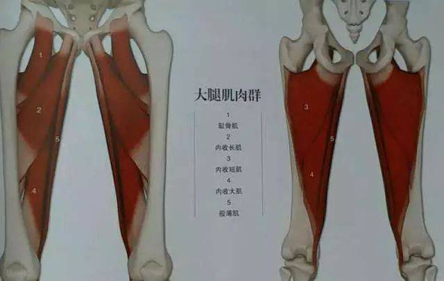 臀部與腿部疼痛點的評估