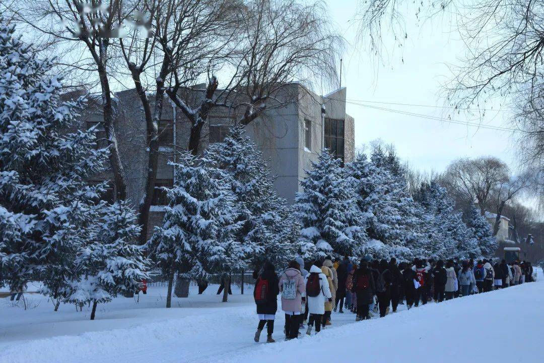 这场磅礴的雪是严冬与哈医的约定