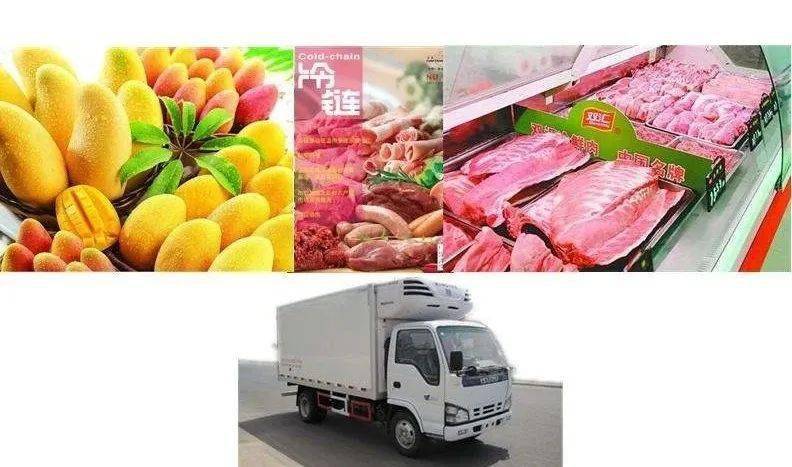 战"疫"| 什么是冷链食品