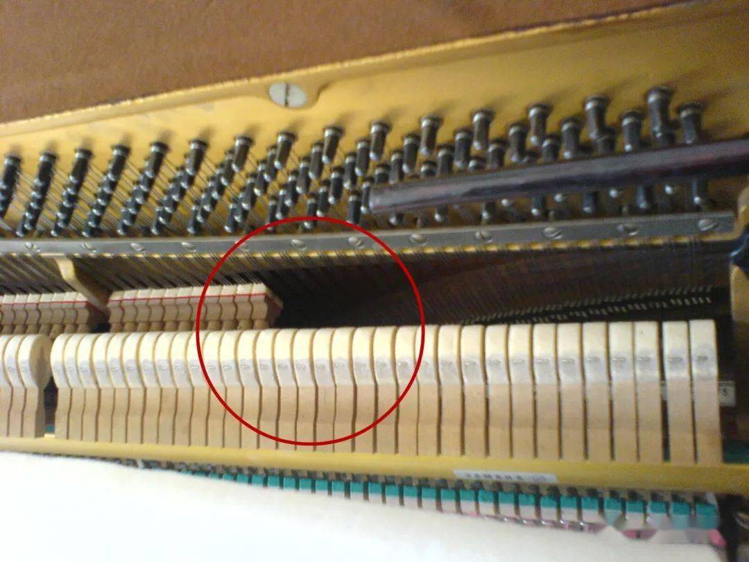 另外大厂钢琴的止音器长枪弹簧的力度也是逐渐变化的第三:键盘力度的