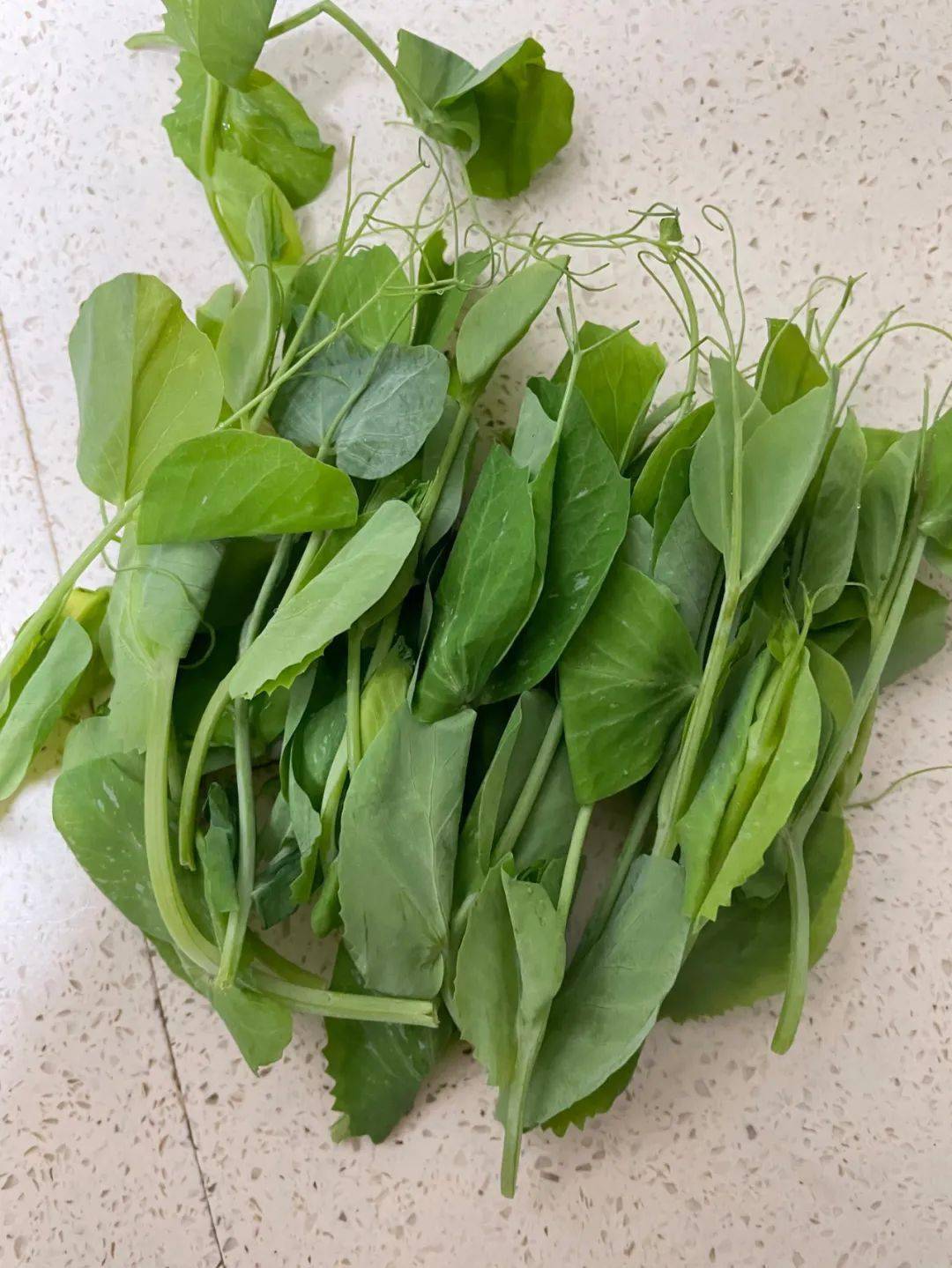 冬天好吃不过豌豆颠儿豌豆颠儿开始占领峨眉人的餐桌