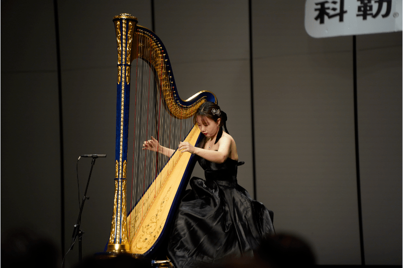 紧接着是两首埃利亚斯·帕里希·阿瓦斯的小品,柏辽兹曾称阿瓦斯为"