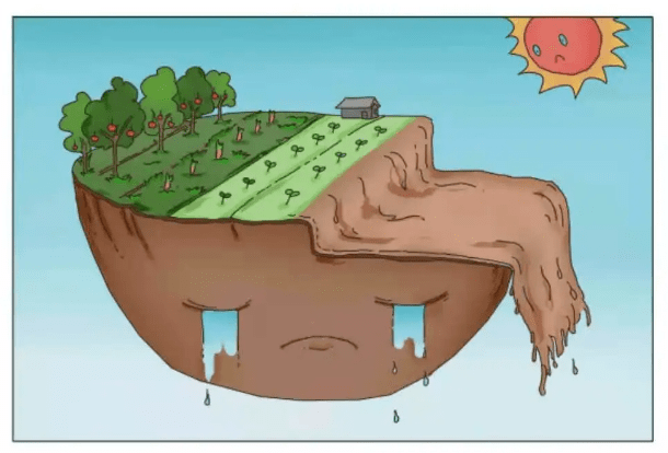 科普传播日本农业为什么非要死磕土壤改良