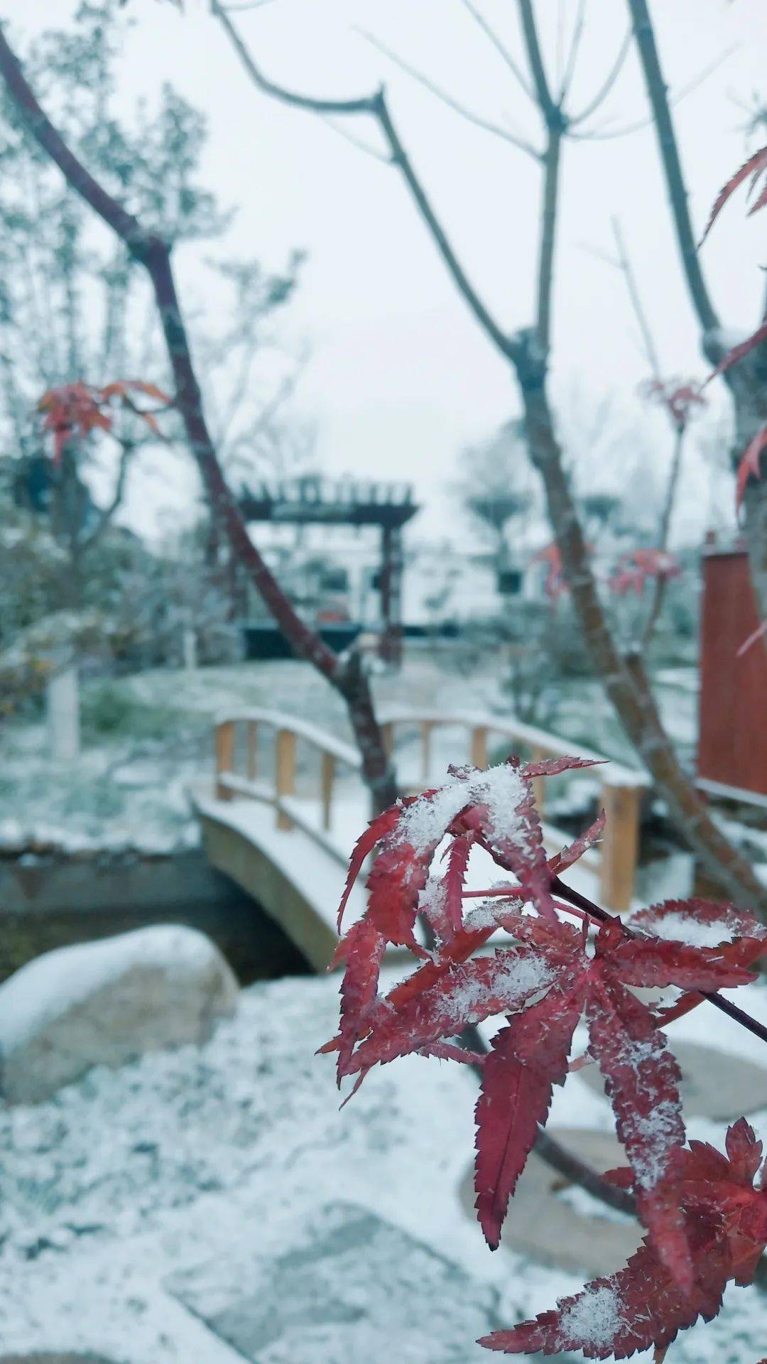 来白鹿原赏雪让白鹿仓雪景美爆你的朋友圈