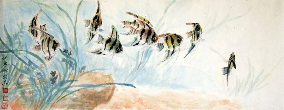 读画| 侯碧漪之《热带鱼》